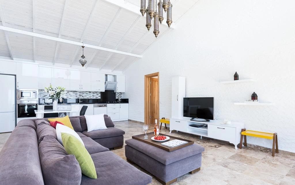 Combined living and kitchen space with modern furnishings and entertainment.