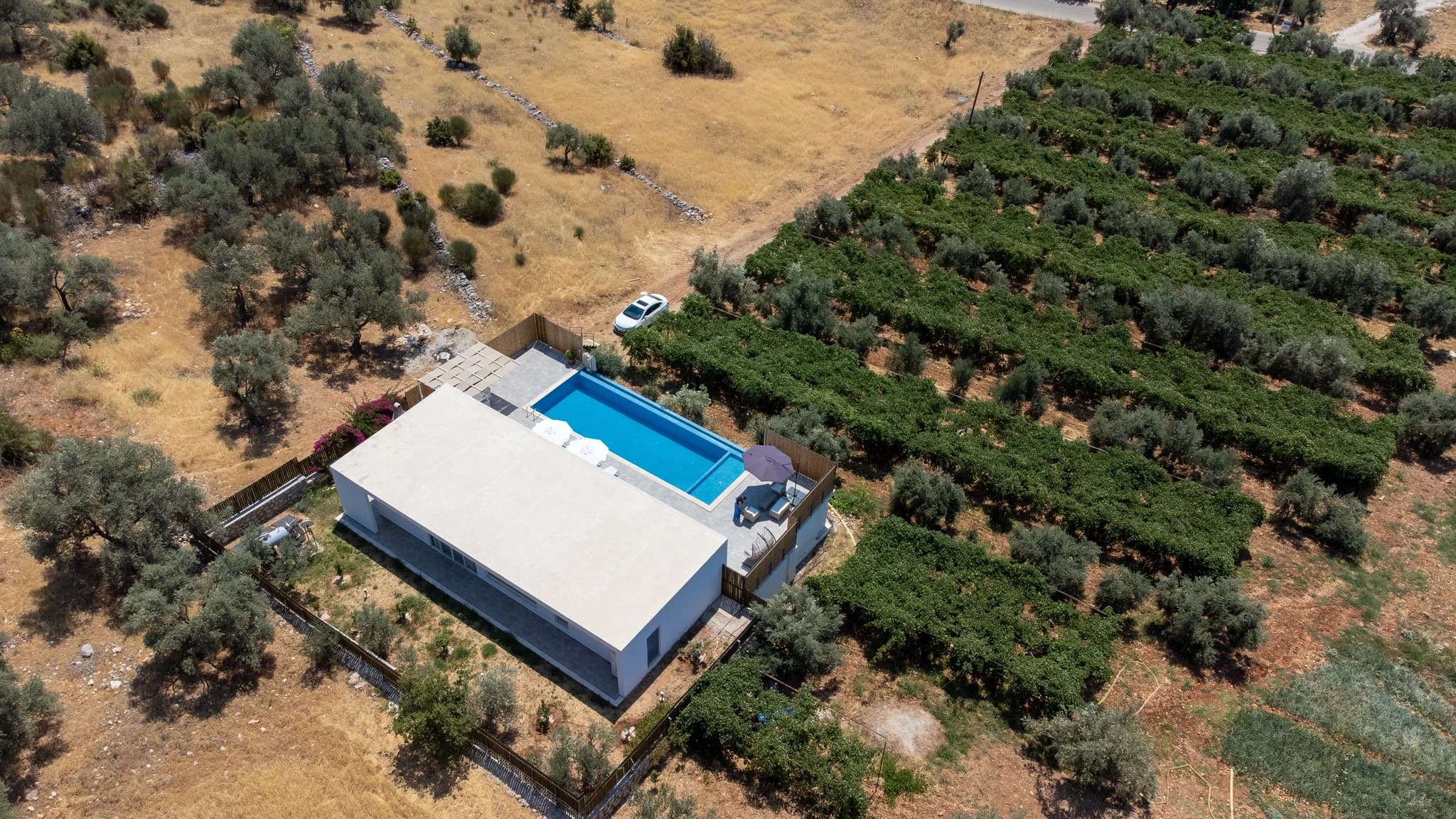 Abgeschiedene 2-Zimmer-Villa mit Infinity-Pool und Bergblick bei Kalkan – Aerial view of the contemporary villa with blue pool nestled in olive groves.